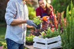 National Growing for Wellbeing Week: 3 Ways Gardening Improves Your Wellbeing