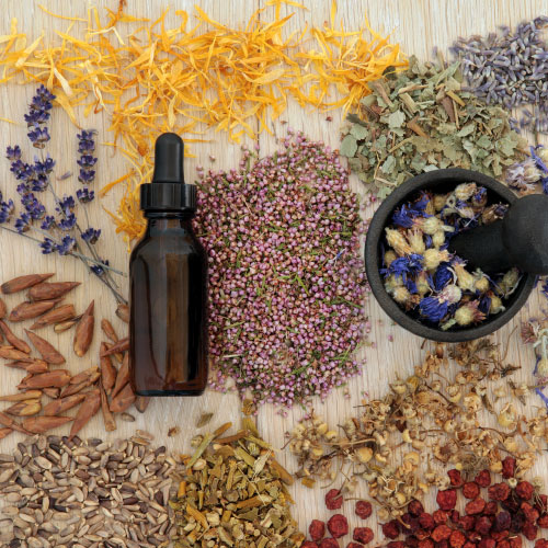 Master Herbalist (Phytotherapy) Diploma Online Courses Online Academies