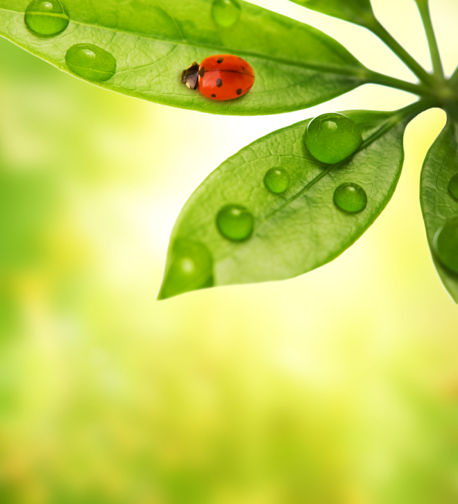  Ecology Diploma Employee CPD