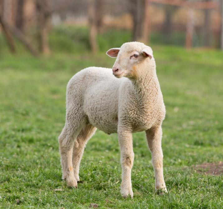  Farming Management Diploma Employee CPD