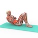 Exercise Physiology Diploma Level 3 artwork