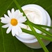 Holistic Beauty Therapist Diploma artwork