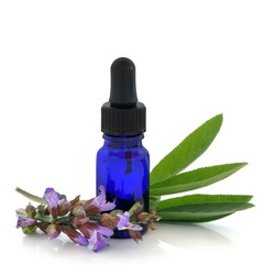 Aromatherapy Diploma artwork