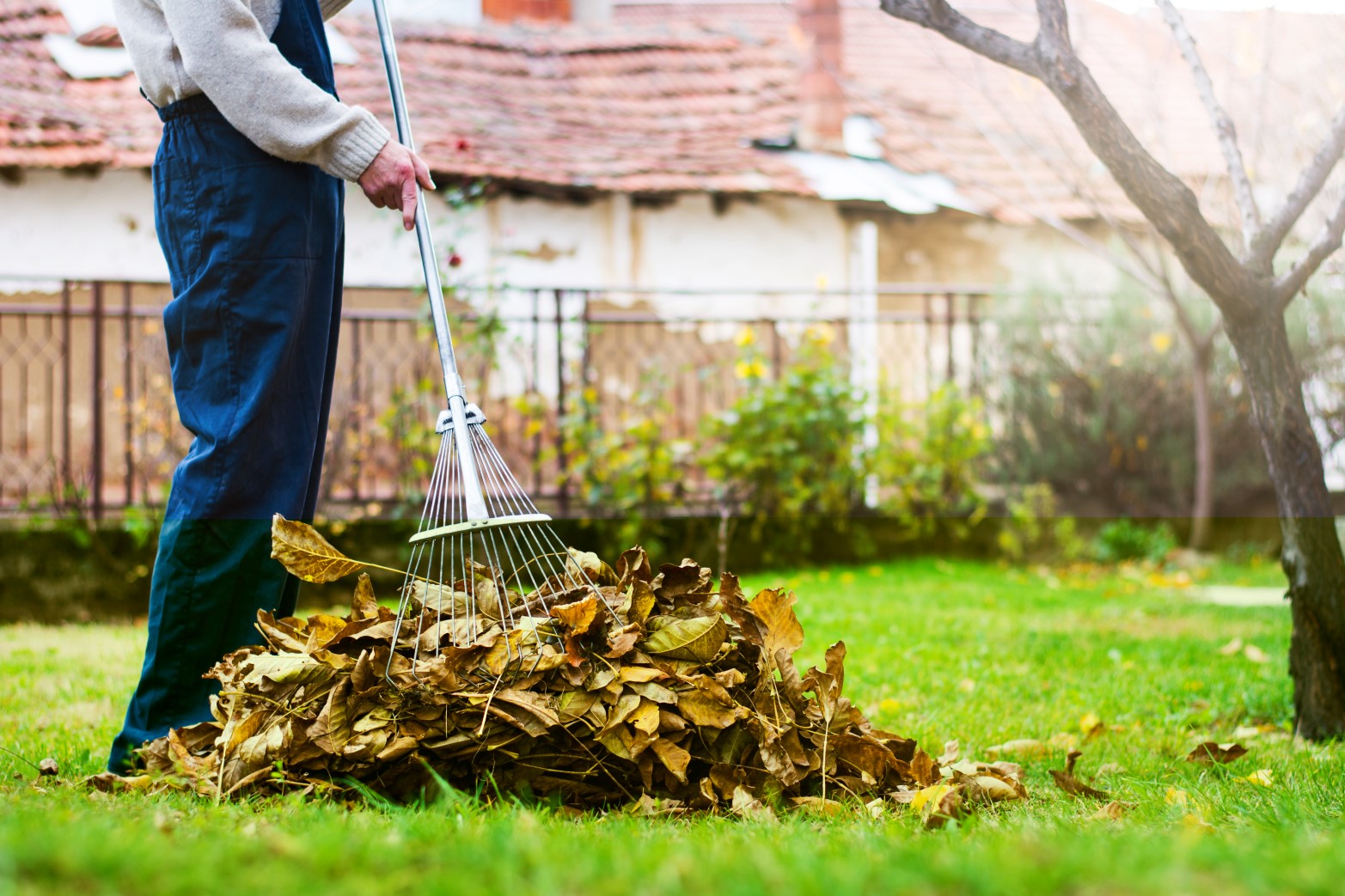 Garden Maintenance Diploma artwork