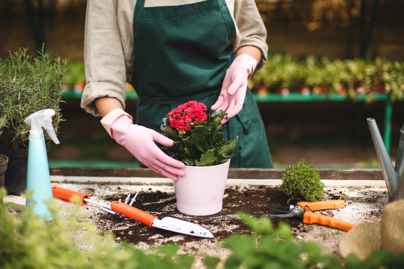 Horticulture Diploma