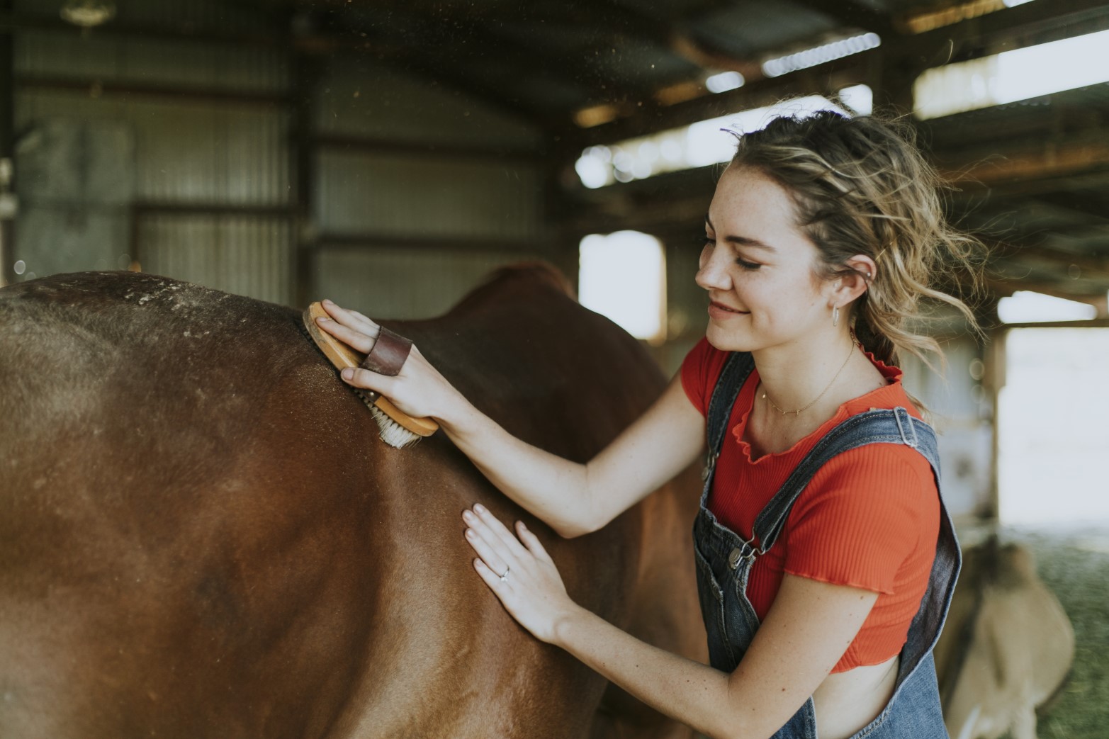 Stable Management Diploma